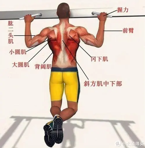 米乐m6：环保与应用完美结合：塑胶跑道材料盛行