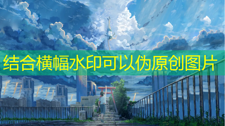 跆拳道横踢提护具基础训练