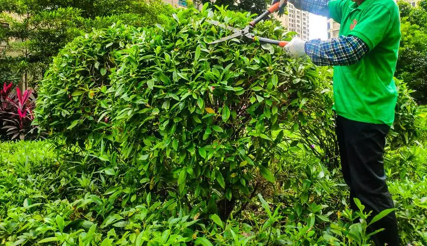 米乐m6官网：羽毛球拍区别与网球拍一样吗_