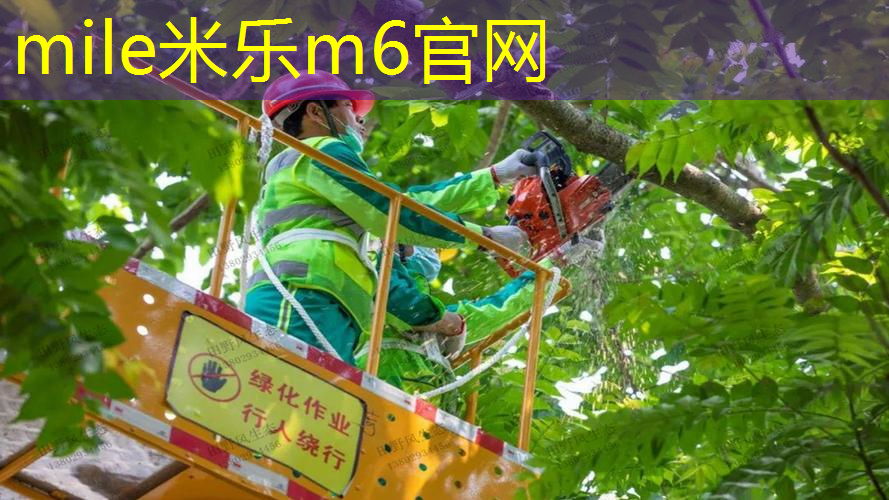 米乐m6官网：网球拍打久了出现问题