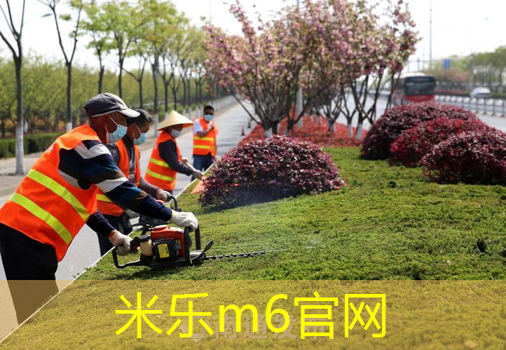 米乐m6官网登录入口：家用足球运动器材有哪些