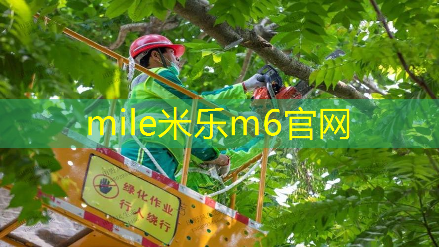 米乐m6官网：室内健身车推荐