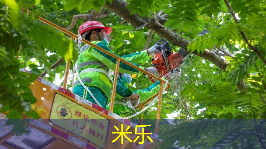 网球拍掉到多少磅算正常