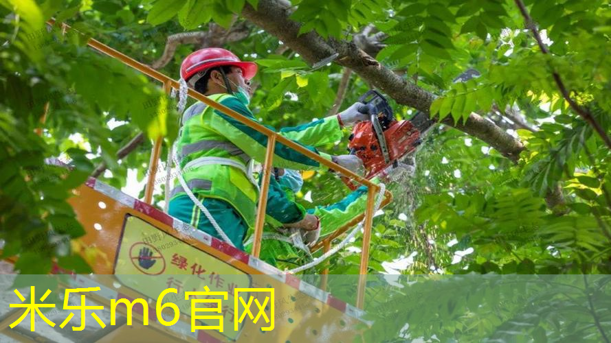 网球拍拉硬线还是软线好