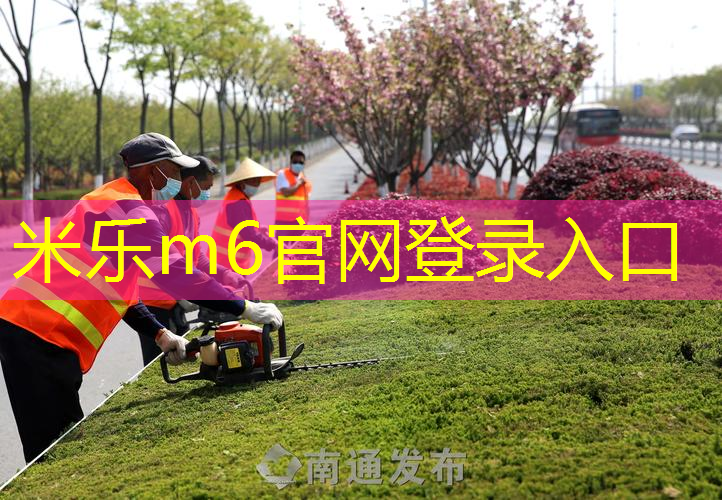 与篮球训练器材